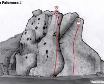 topo palomera 2