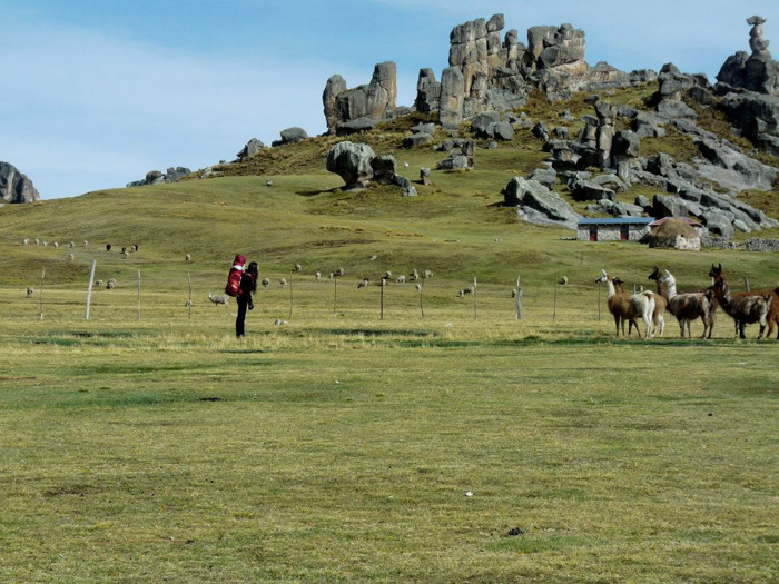 Muñe tratando de comunicarse con los animales