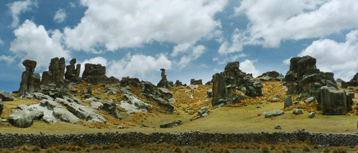 vista desde la carpa