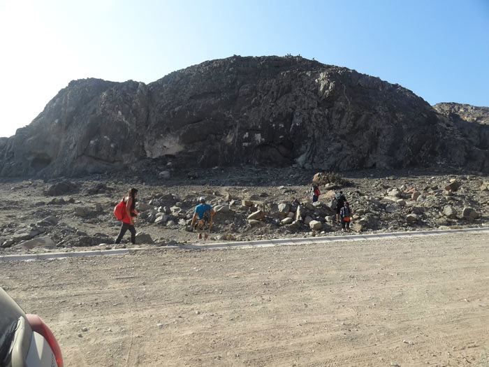 El-Elefante-principal