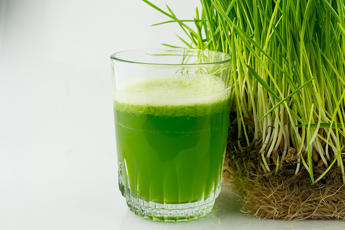 Green Organic Wheat Grass Juice ready to drink
